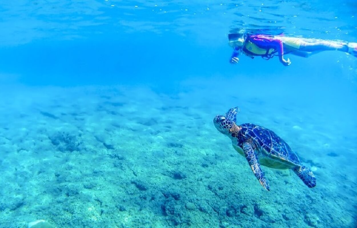 水納島ボートシュノーケリング